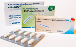antibiotica tegen lyme