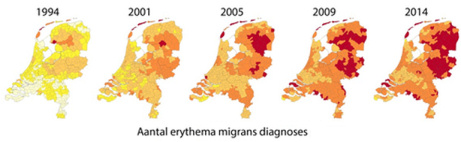 ziekte van lyme door de jaren heen